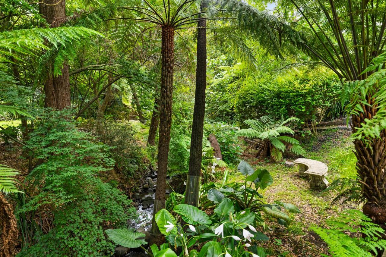 Paddys Creek Retreat Villa Upwey Exteriör bild