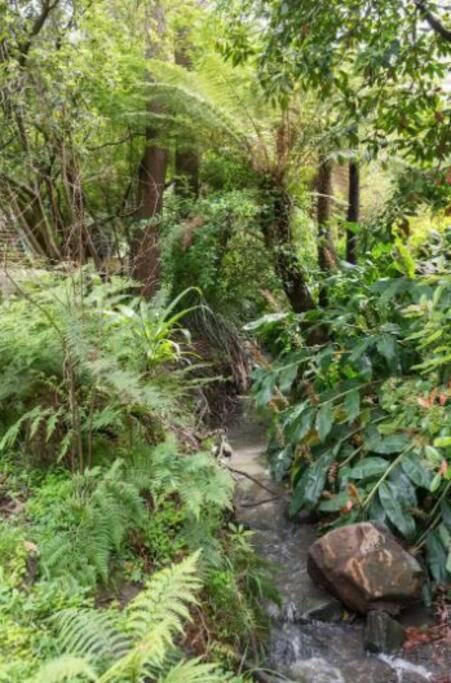 Paddys Creek Retreat Villa Upwey Exteriör bild